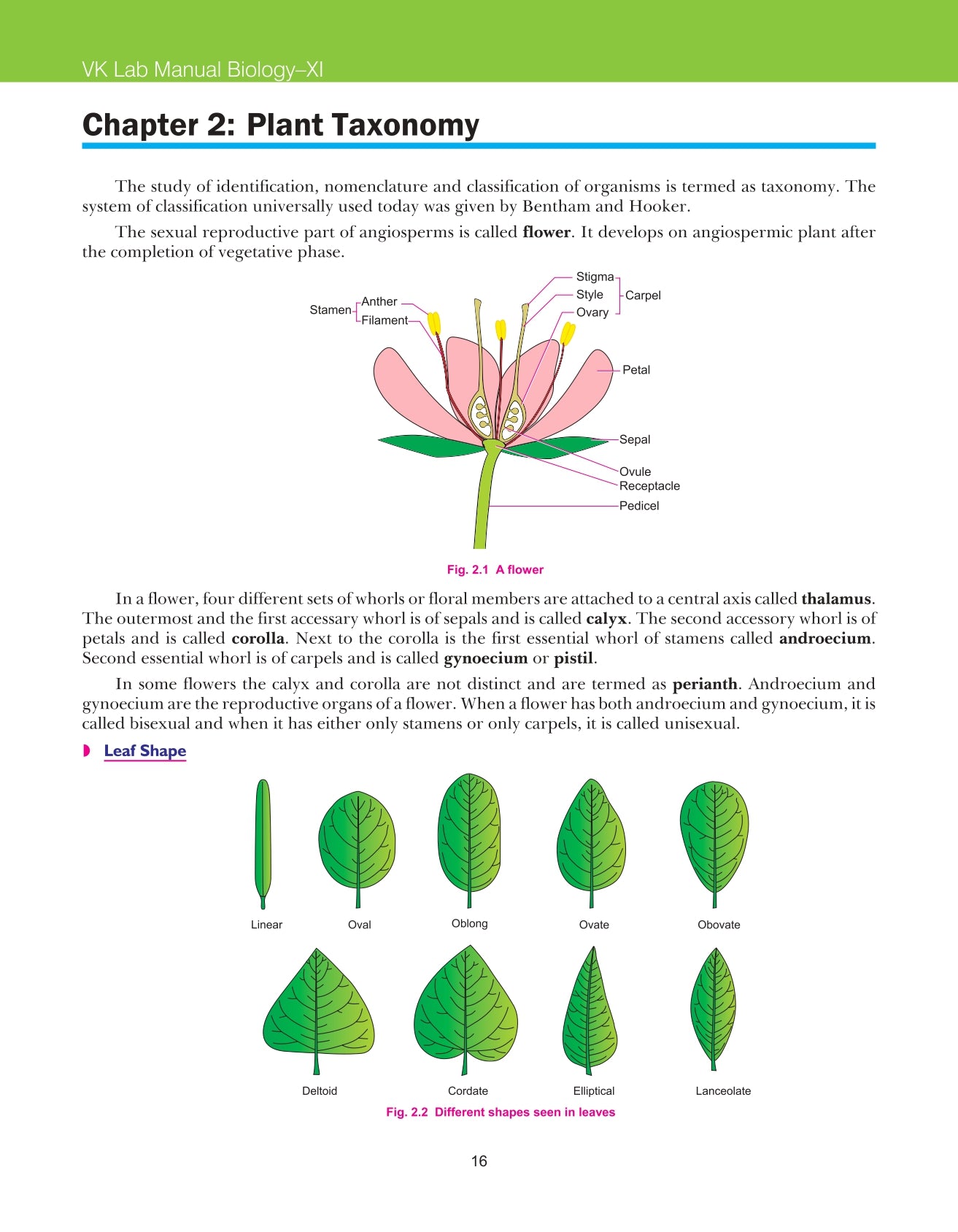 Lab Manual Biology (HB) With Worksheet  | For Class 11  | CBSE Based  | NCERT Based  | 2024 Edition