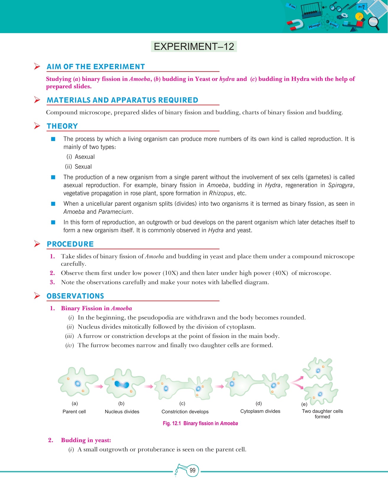 Lab Manual Science (HB) With Worksheet  | For Class 10  | CBSE Based  | NCERT Based  | 2024 Edition